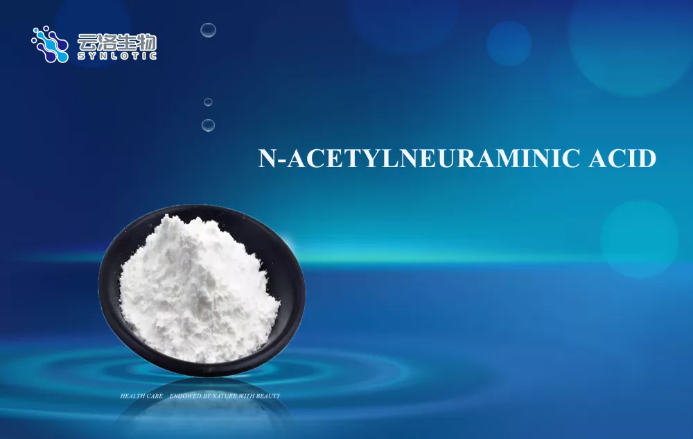 Kyselina N-acetylneuramínová